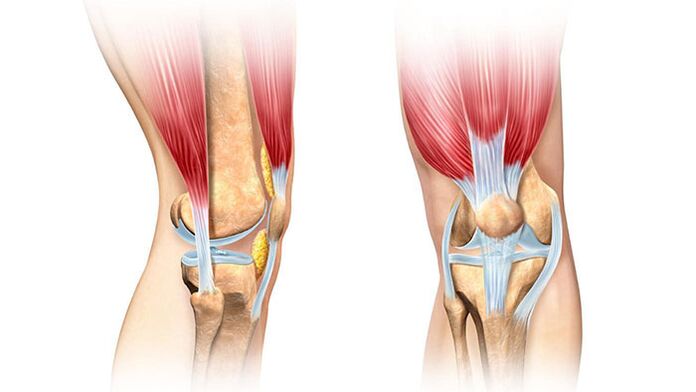 άρθρωση γόνατος και η θεραπεία της για τον πόνο